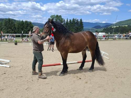 c8552b4d-760c-4e1f-9633-fa400060185f